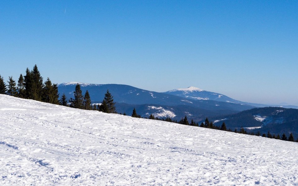 Minus 15 stopni Celsjusza. Zdobywała Babią Górę w bieliźnie