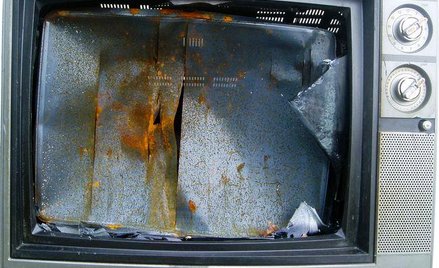 Opublikowany raport Głównego Inspektoratu Ochrony Środowiska za 2012 r. podaje, że u nas zebrano 3,8