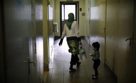 Do Polski wracają Czeczeni, którzy nie czekając na azyl, wyjechali na Zachód.