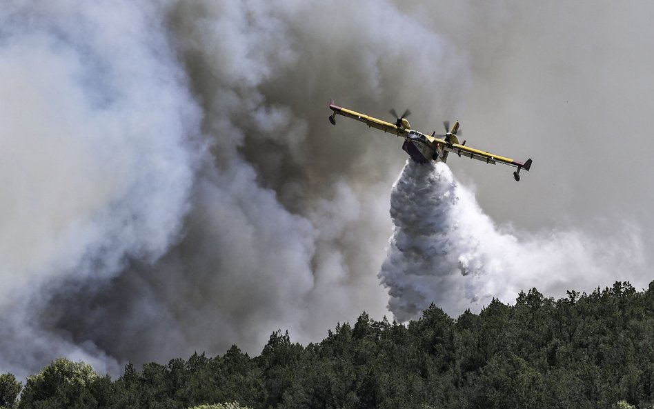 Samolot gaśniczy typu Canadair w trakcie akcji na północny-zachód od Aten, fot. z 19 lipca