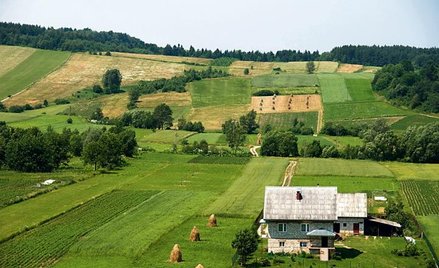 Kiedy pośrednik musi szukać rynkowej niszy