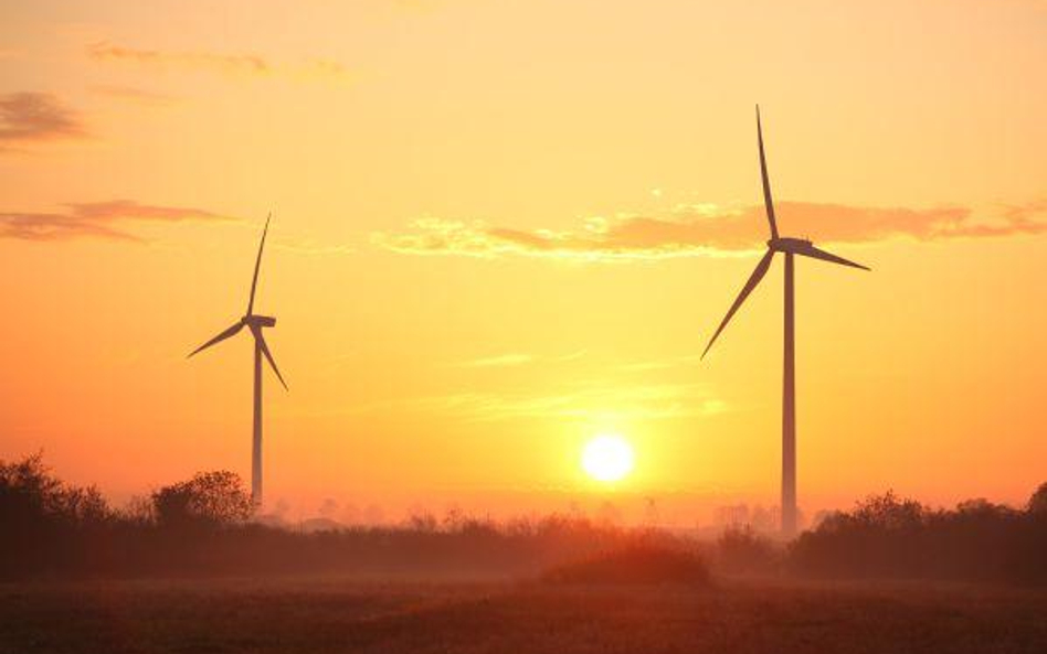 Szybki rozwój energetyki wiatrowej