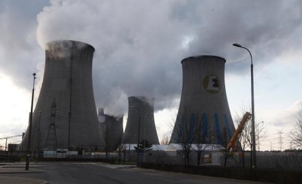 PGE chce zarabiać na biometanie
