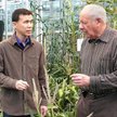 Prof. Mitchell (z prawej) i jego współpracownik Yang Yang już eksperymentują z nową odmianą „karłowa