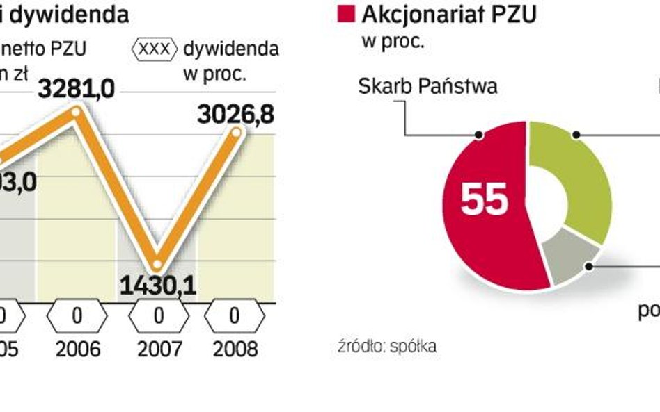 Holenderski inwestor ma być spłacony z pieniędzy polskiego ubezpieczyciela. Na koncie PZU jest 11,8 