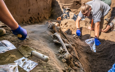 Miejsce odnalezienia szkieletów pod Chojnicami na Pomorzu