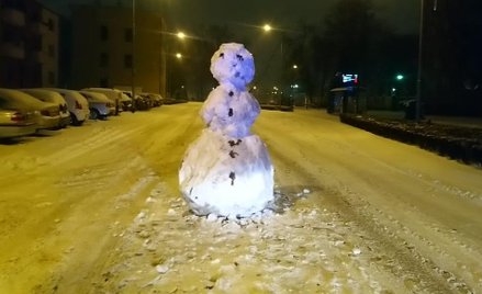 Policja wezwana do bałwana. Stał na środku drogi