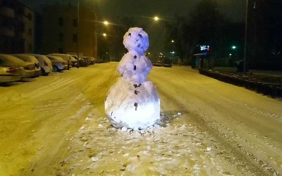 Policja wezwana do bałwana. Stał na środku drogi