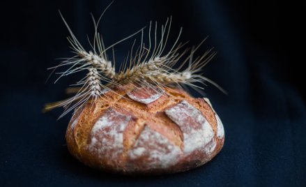 Odcisk palca na chlebie sprzed 8600 lat