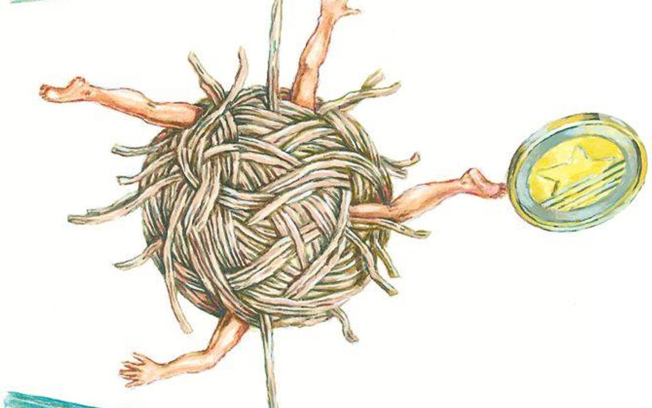 Dłuższa droga do euro