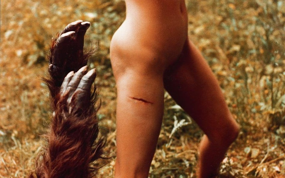 „Bestia” (1975) okazała się największym skandalem w historii Festiwalu Filmowego w Londynie.