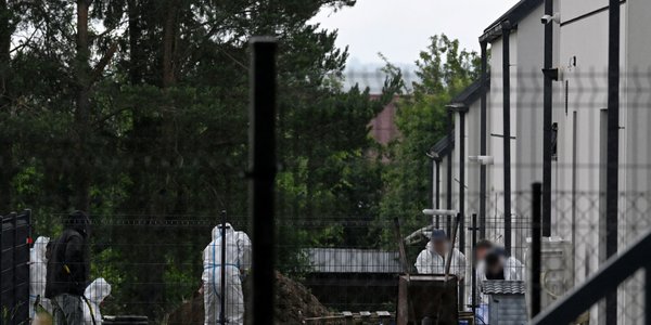 Szczątki płodów na posesji. Co zeznała zatrzymana patomorfolog