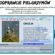 Pomóc młodym ze Wschodu