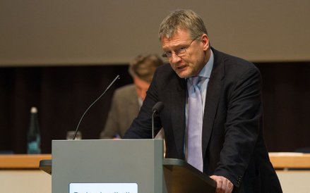 Jorg Meuthen, AfD