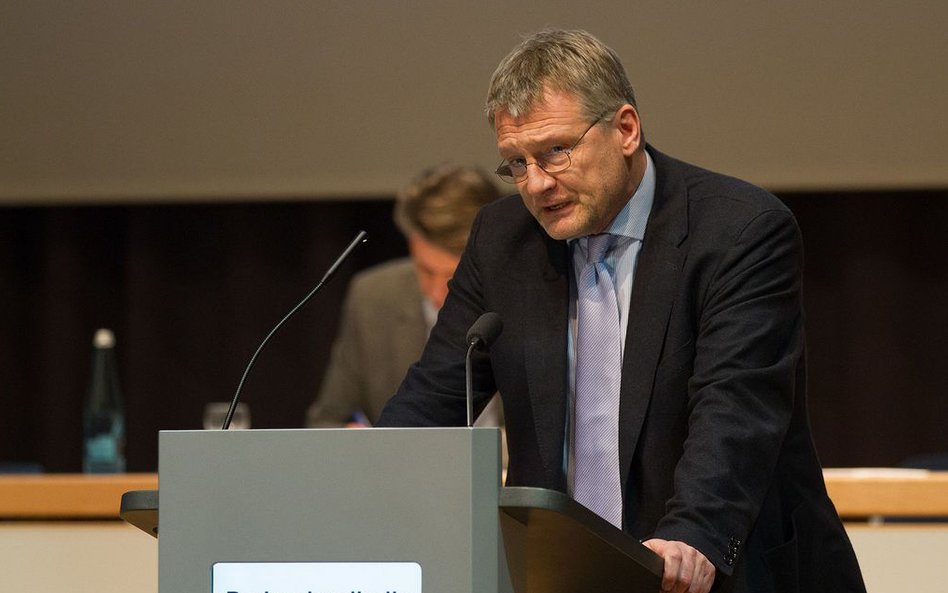 Jorg Meuthen, AfD