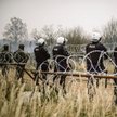 Funkcjonariusze policji przy granicy polsko-białoruskiej w okolicach Kuźnicy