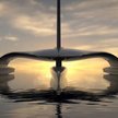 Bezzałogowy trimaran wyruszy do Ameryki śladem osadników sprzed 400 lat