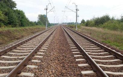Jeszcze w grudniu PKP Polskie Linie Kolejowe chcą sfinalizować pierwszy etap przetargu na przebudowę