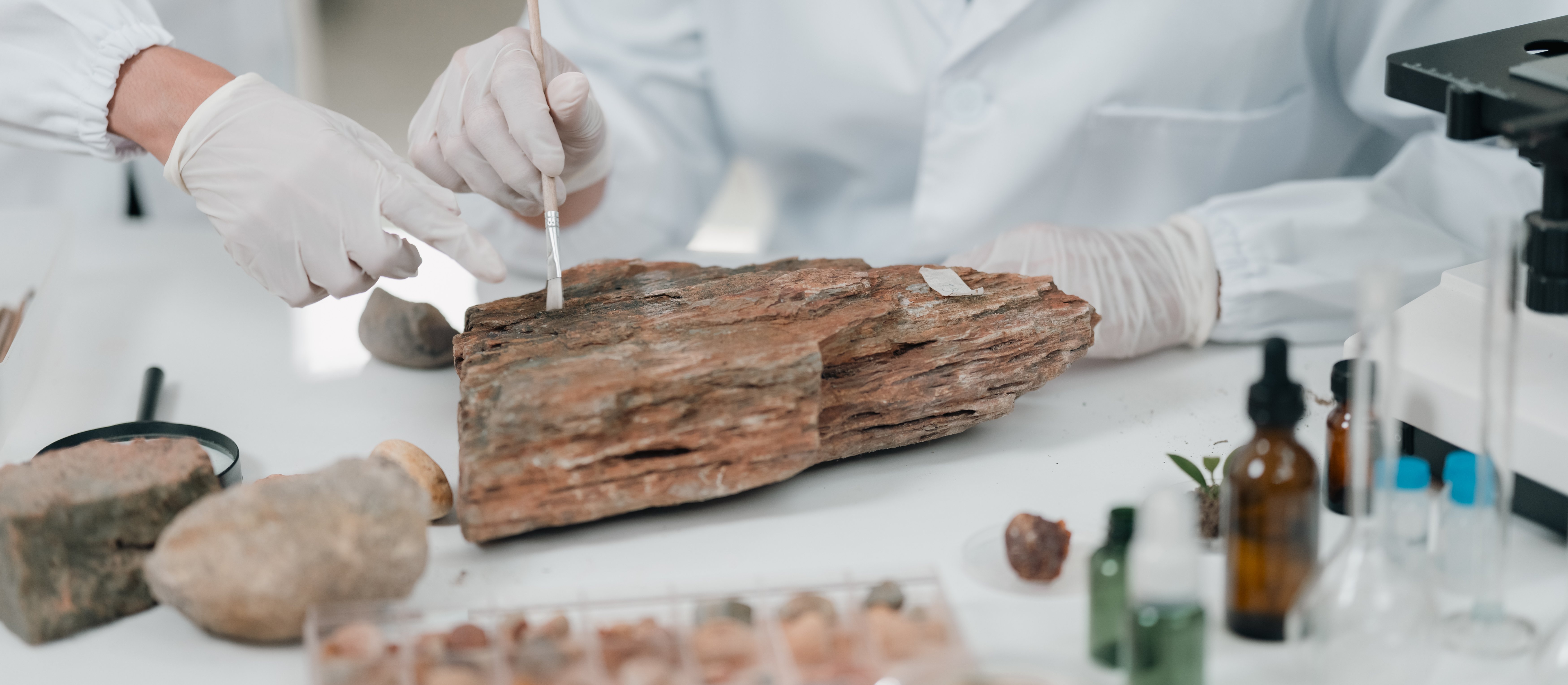 Sztuczna inteligencja pomogła znaleźć ślady życia w skałach sprzed 3,3 miliarda lat