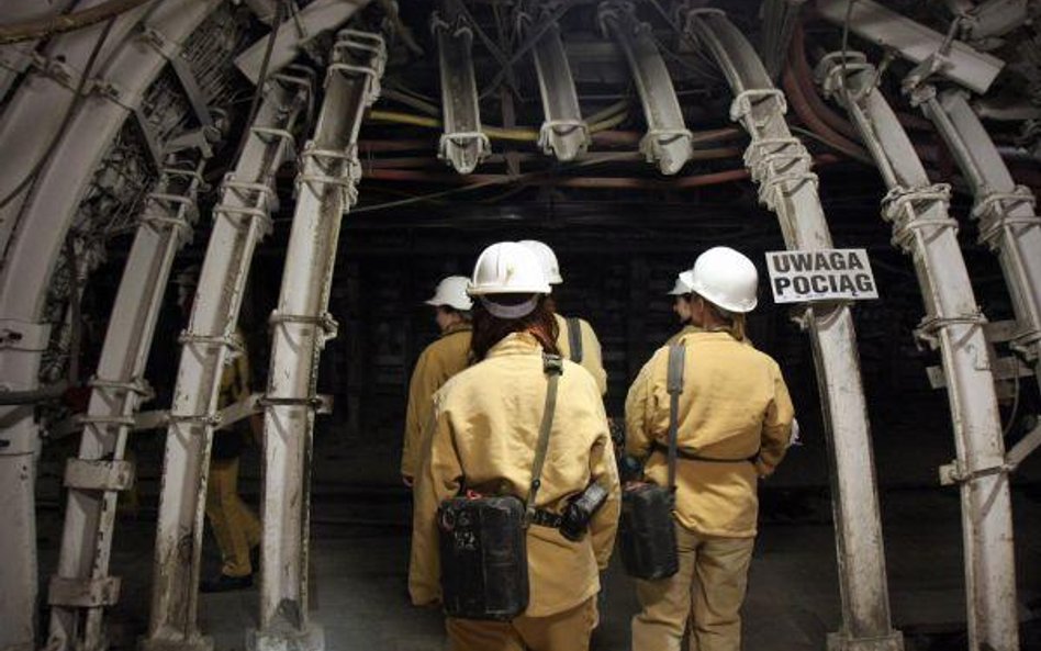 Z szacunków „Rz” wynika, że wartość dofinansowania, o które starają się kopalnie, przekracza 1 mld z
