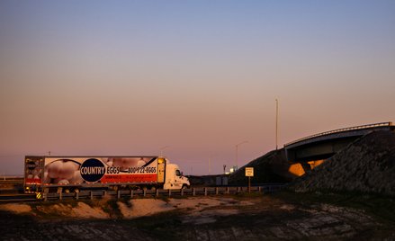 Donald Trump zapewnia, że zażegnał kryzys na rynku jajek. Nie do końca