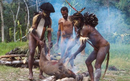 Tradycyjna pieczeń świni z warzywami i słodkimi ziemniakami