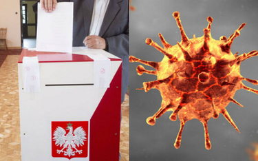 Koronawirus: wybory samorządowe bez zmian mimo zakazu wychodzenia z domu