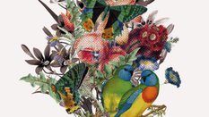 „Nie czekam na szklankę wody. O świadomej niedzietności”, Katarzyna Tubylewicz, wyd. Czarne