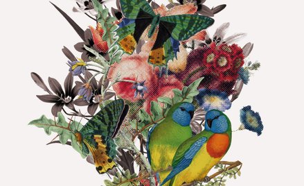 „Nie czekam na szklankę wody. O świadomej niedzietności”, Katarzyna Tubylewicz, wyd. Czarne