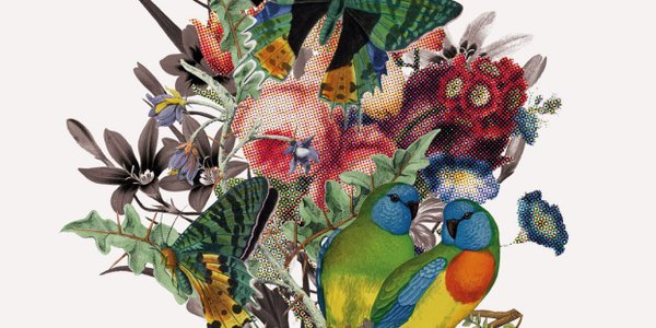 „Nie czekam na szklankę wody. O świadomej niedzietności”: Kto nie chce mieć dzieci