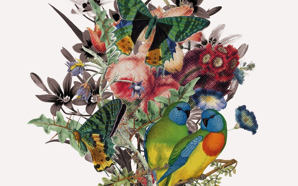 „Nie czekam na szklankę wody. O świadomej niedzietności”, Katarzyna Tubylewicz, wyd. Czarne