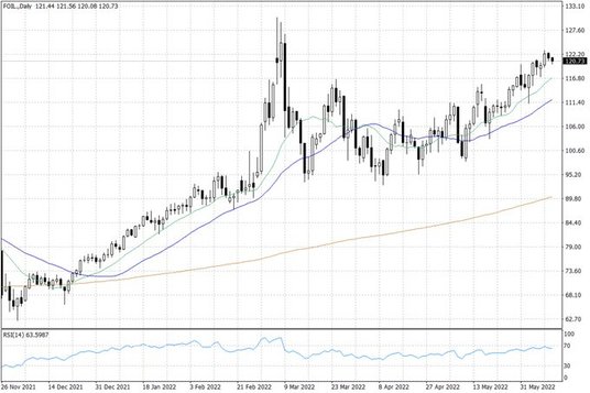 Notowania ropy naftowej WTI – dane dzienne