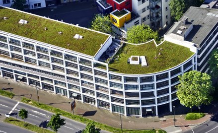 Ewa Milczarek: Paradoksy adaptacji klimatycznej