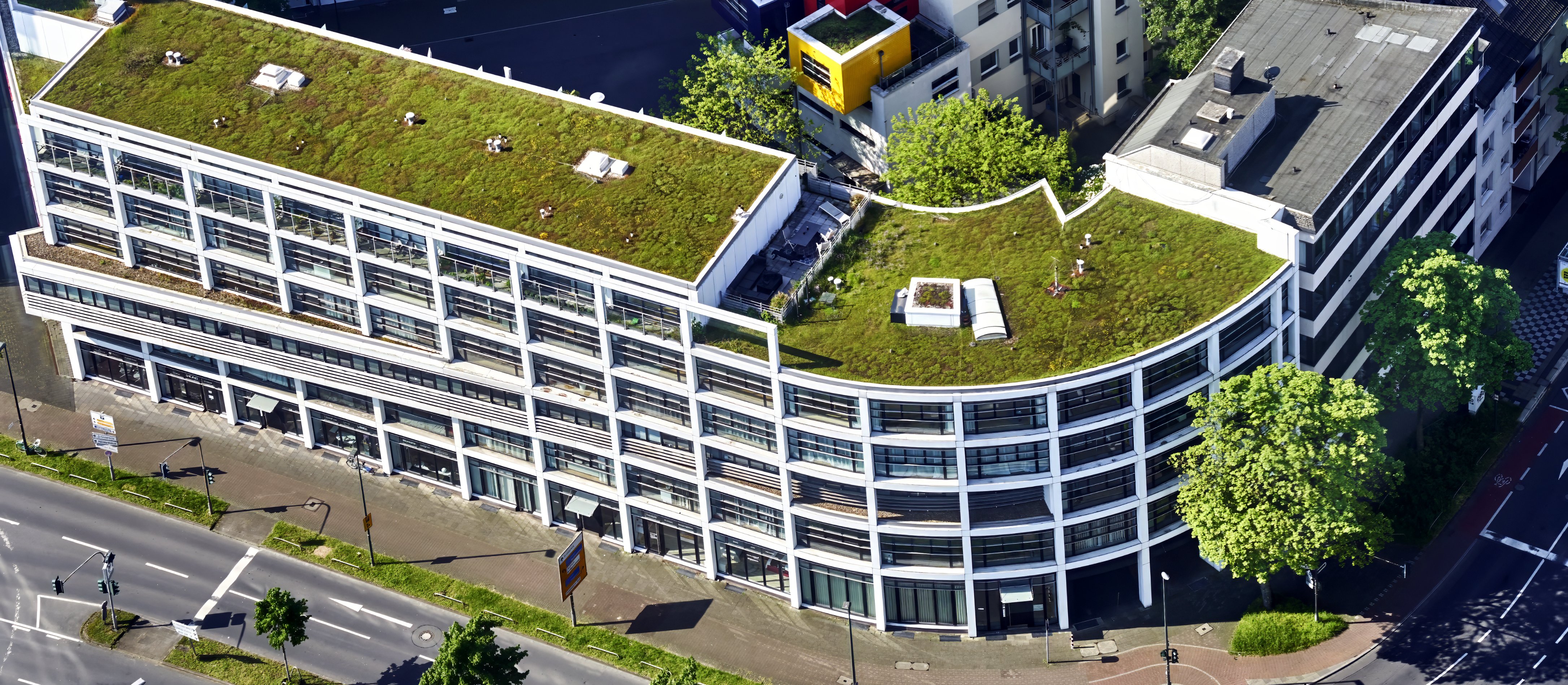 Ewa Milczarek: Paradoksy adaptacji klimatycznej