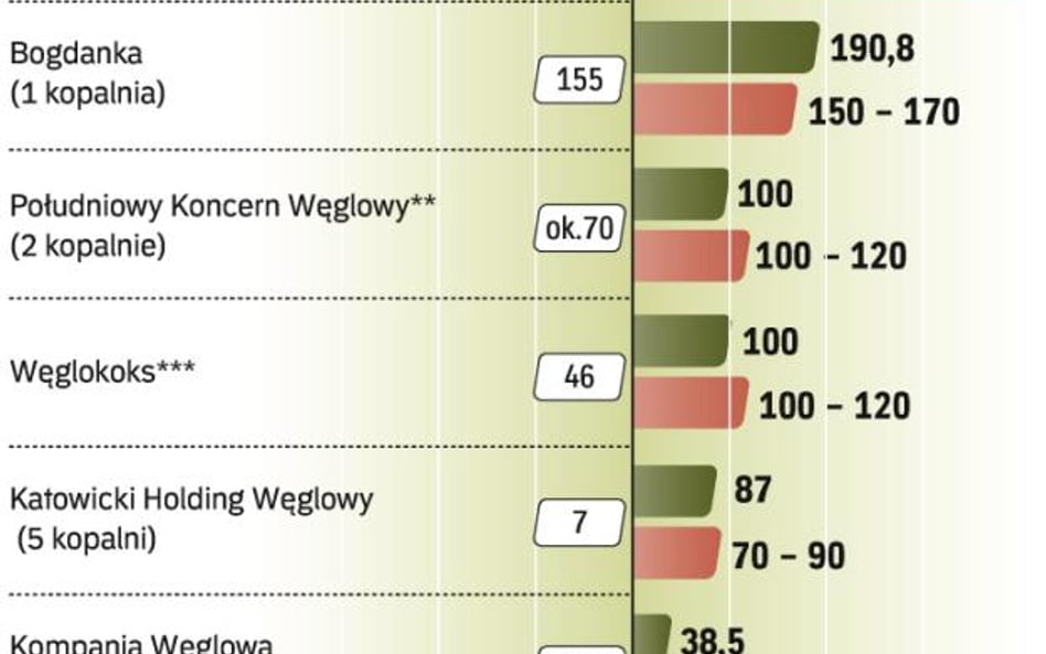 Dugość życia kopalń. Przybywa zakładów, których złoża wyczerpią się w tej dekadzie. Bez inwestycji n