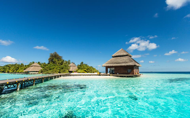 Praca marzeń. Hotel na Malediwach szuka pracownika