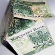 NBP i KNF pozytywnie o prezydenckim projekcie ustawy o wsparciu kredytobiorców