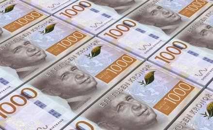 Anna Nowacka-Isaksson: 420 milionów koron długu