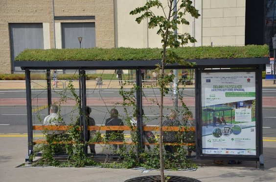 Zielone przystanki gromadzące wodę opadową na Placu Jagiellońskim w Radomiu.