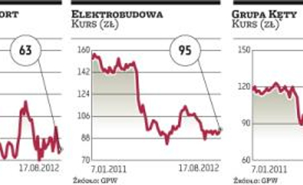 Najbardziej zaangażowany OFE PZU „Złota Jesień”