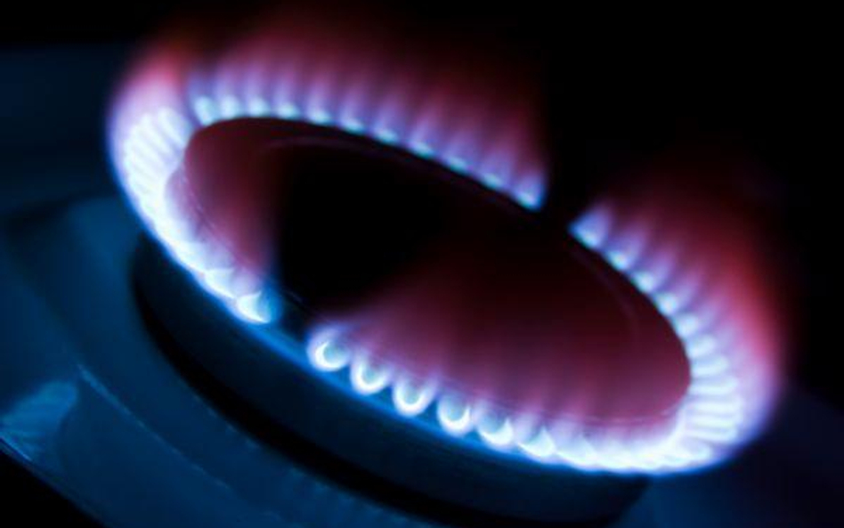 ZCh Police zobowiązały się do spłaty zadłużenia wraz z odsetkami do końca czerwca 2010 r.