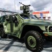 Hawkei: jadowity australijski zwiadowca