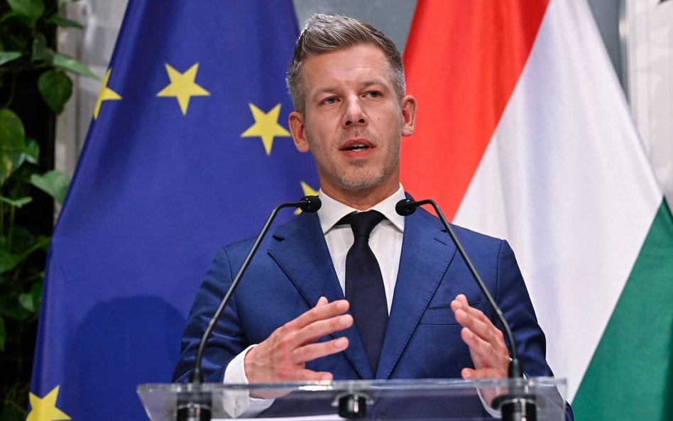 Péter Magyar przybył do Polski