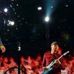 Coldplay w 2008 r. zagrał w stolicach Niemiec, Czech, Węgier, Austrii. Polski – nie. Na zdjęciu podc