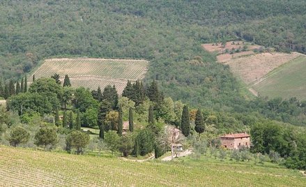 Środkowe Włochy liczą na turystów, których wystraszyły trzęsienia ziemi