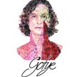 Gotye - koncert na Torwarze