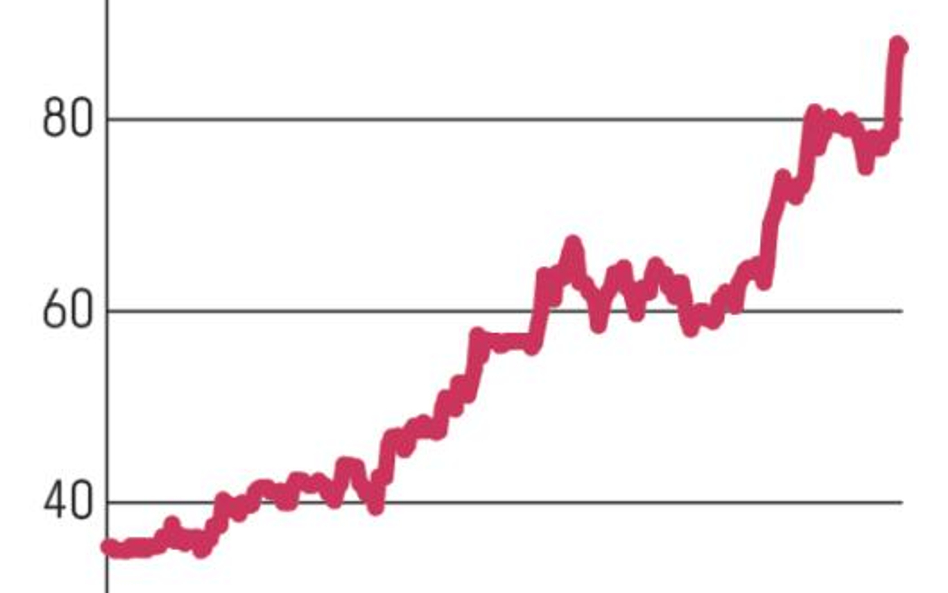 Indykpol: Ekspansja w Azji wesprze wyniki