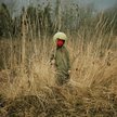 David Favrod, Gaijin, Mishiko Grand Prix Fotofestiwal 2014