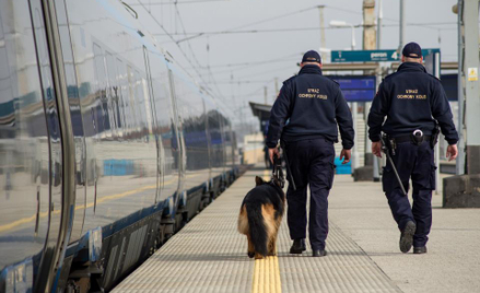Bohaterski pies służbowy Straży Ochrony Kolei. Uratował niedoszłego samobójcę w Chełmie.