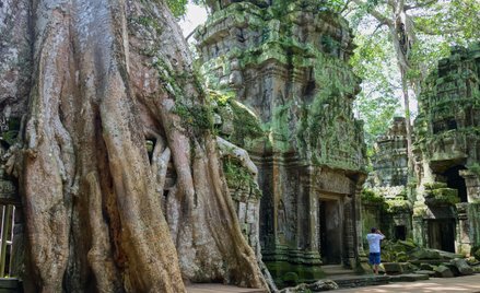 Przyroda na dobre rozgościła się w Ta Prohm, ofiarowując przybyszowi najmocniejsze wizualne przeżyci
